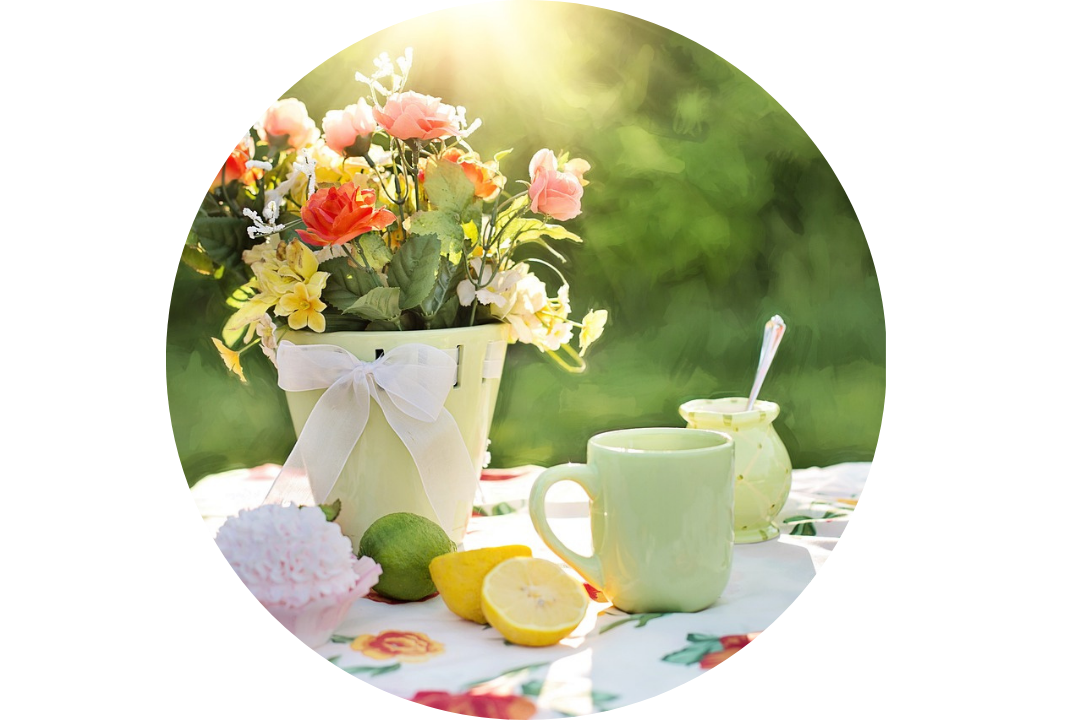 Picnic